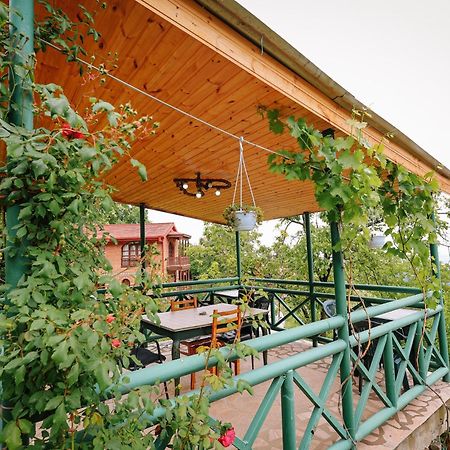 ホテル Sighnaghi Garden House エクステリア 写真