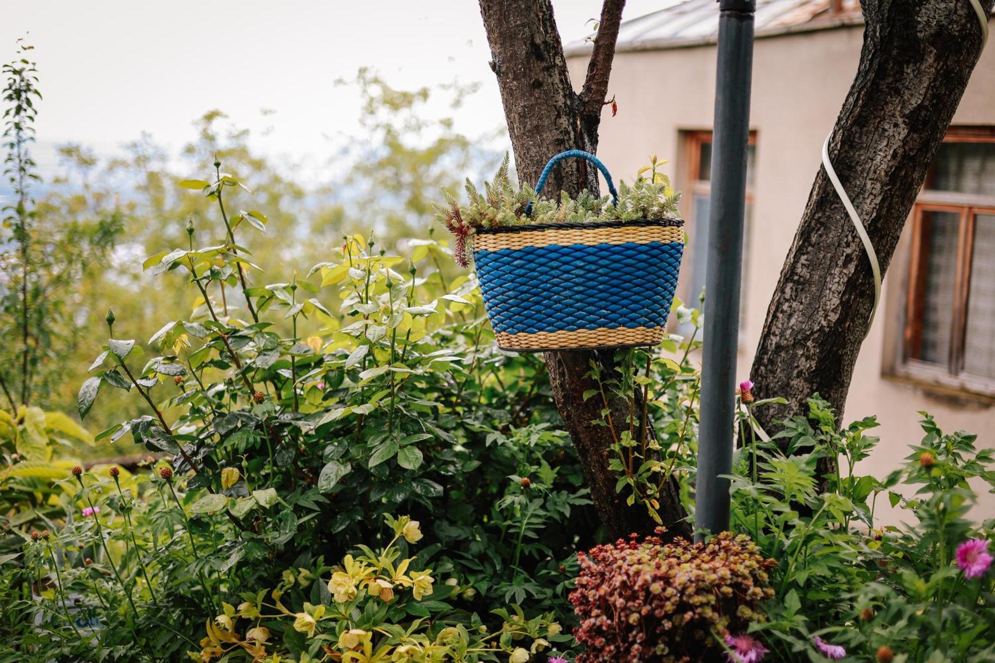 ホテル Sighnaghi Garden House エクステリア 写真