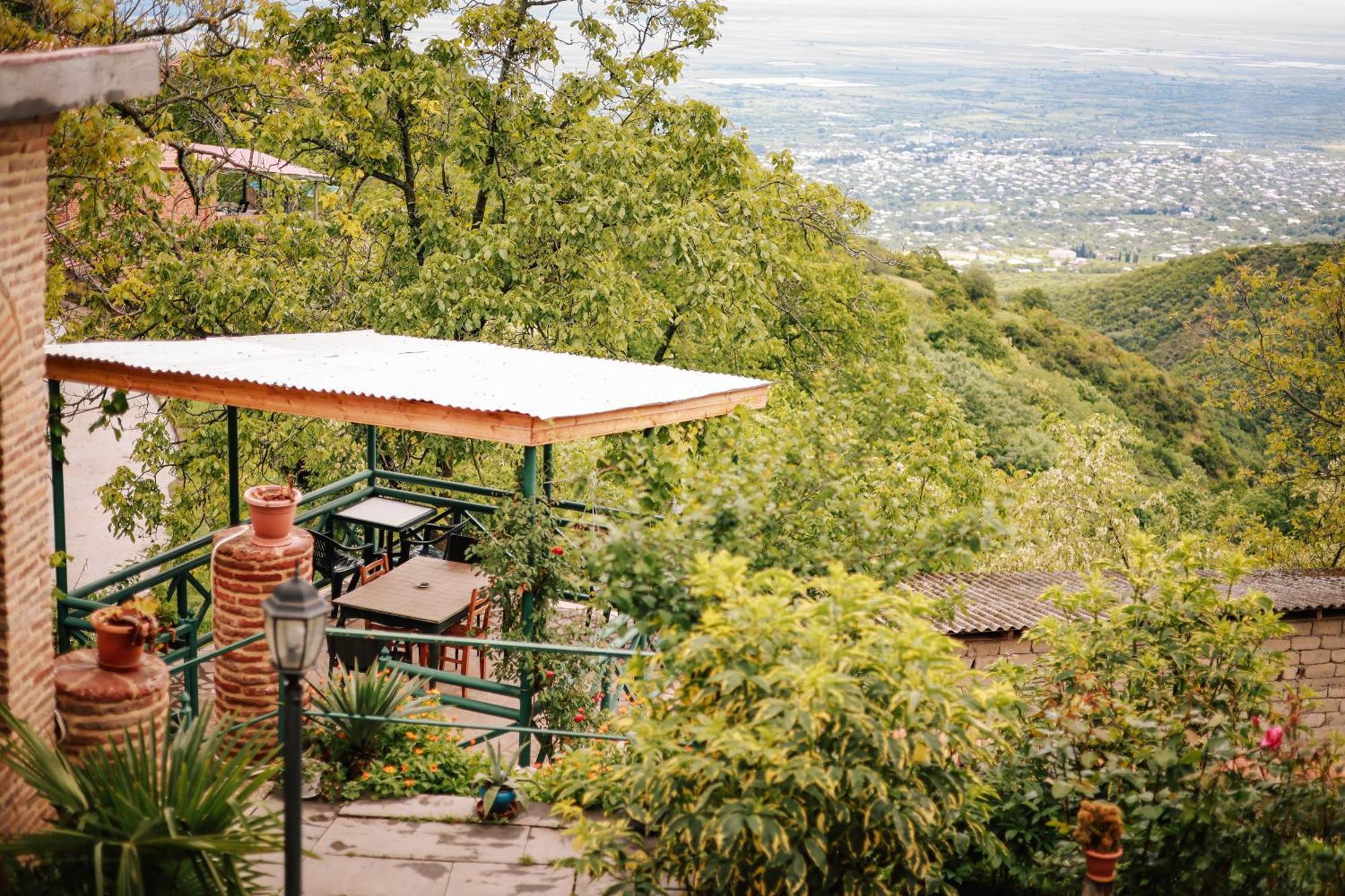 ホテル Sighnaghi Garden House エクステリア 写真