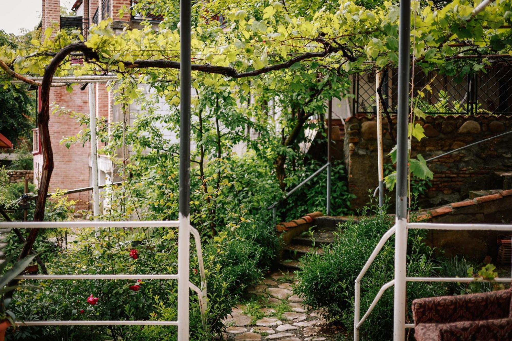 ホテル Sighnaghi Garden House エクステリア 写真